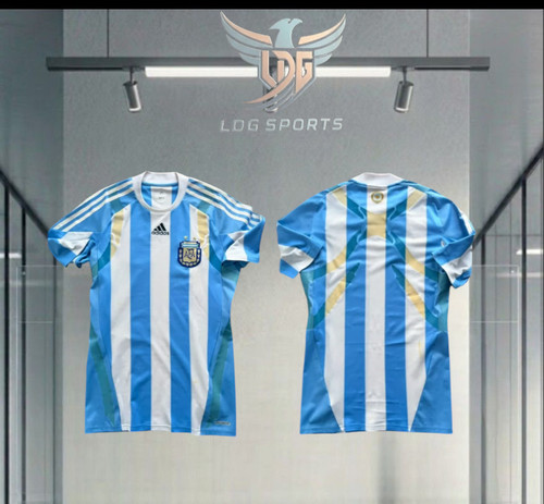 Argentina 2010 match worn - argentina,